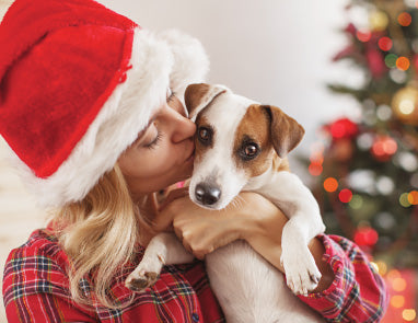 7 Fun Ways to Celebrate Christmas With Your Dog